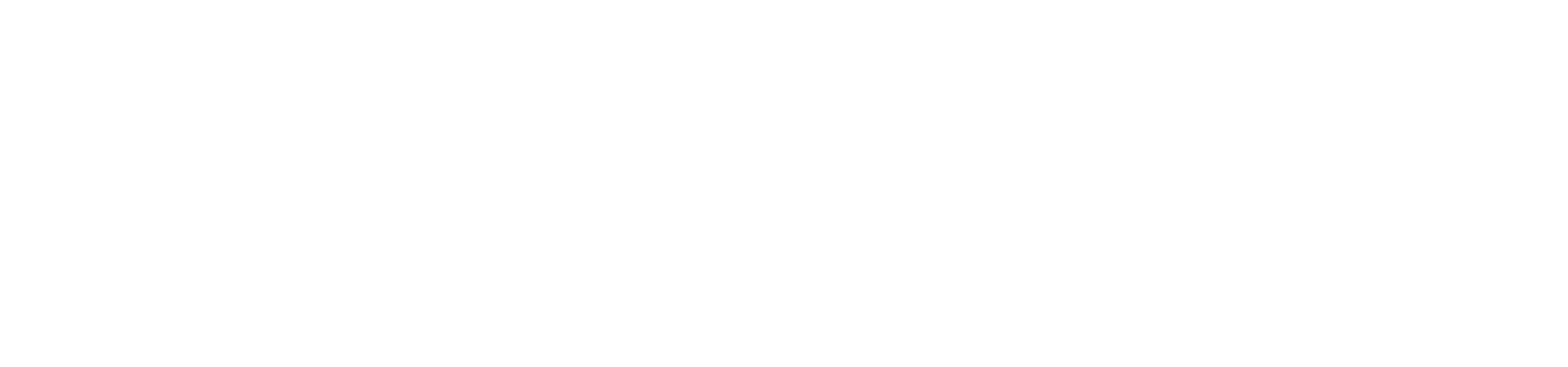 light logo